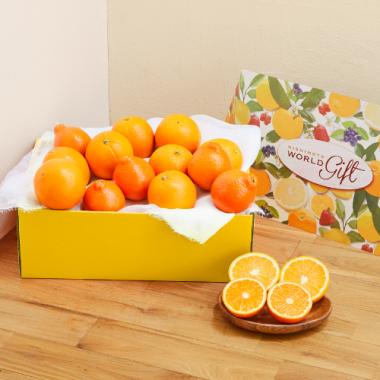 Minneola&High Brix Orange(Fruits Box)[13pcs]