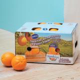 Sunkist® Generation Pinkie Navel Orange[L18pcs]