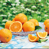 Orange[L10pcs]