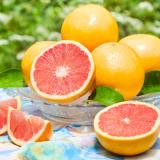 Grapefruit (Ruby/Medium) [8pcs]