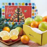 Holiday Box Melogold & Orange