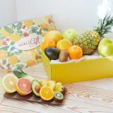 Melogold Mix [9pcs] (Fruits Box)