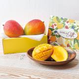 Apple Mango [2pcs]