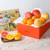 Apple Mango & Citrus[8pcs]