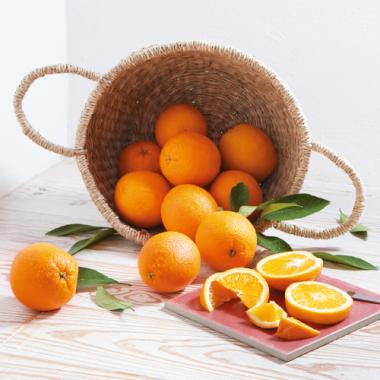 Navel Orange from California [L10pcs]