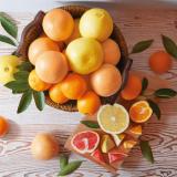 【New year delivery】Navel Orange & Grapefruit [24]